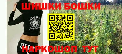 сатива Краснознаменск