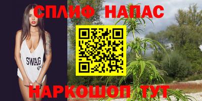сатива Краснознаменск