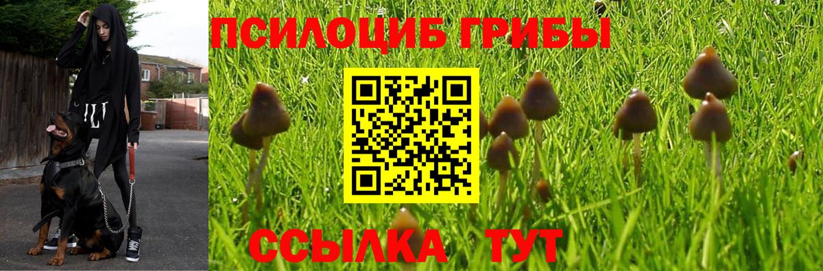 Королёв  Галлюциногенные грибы Magic Shrooms  Вход с VPN 